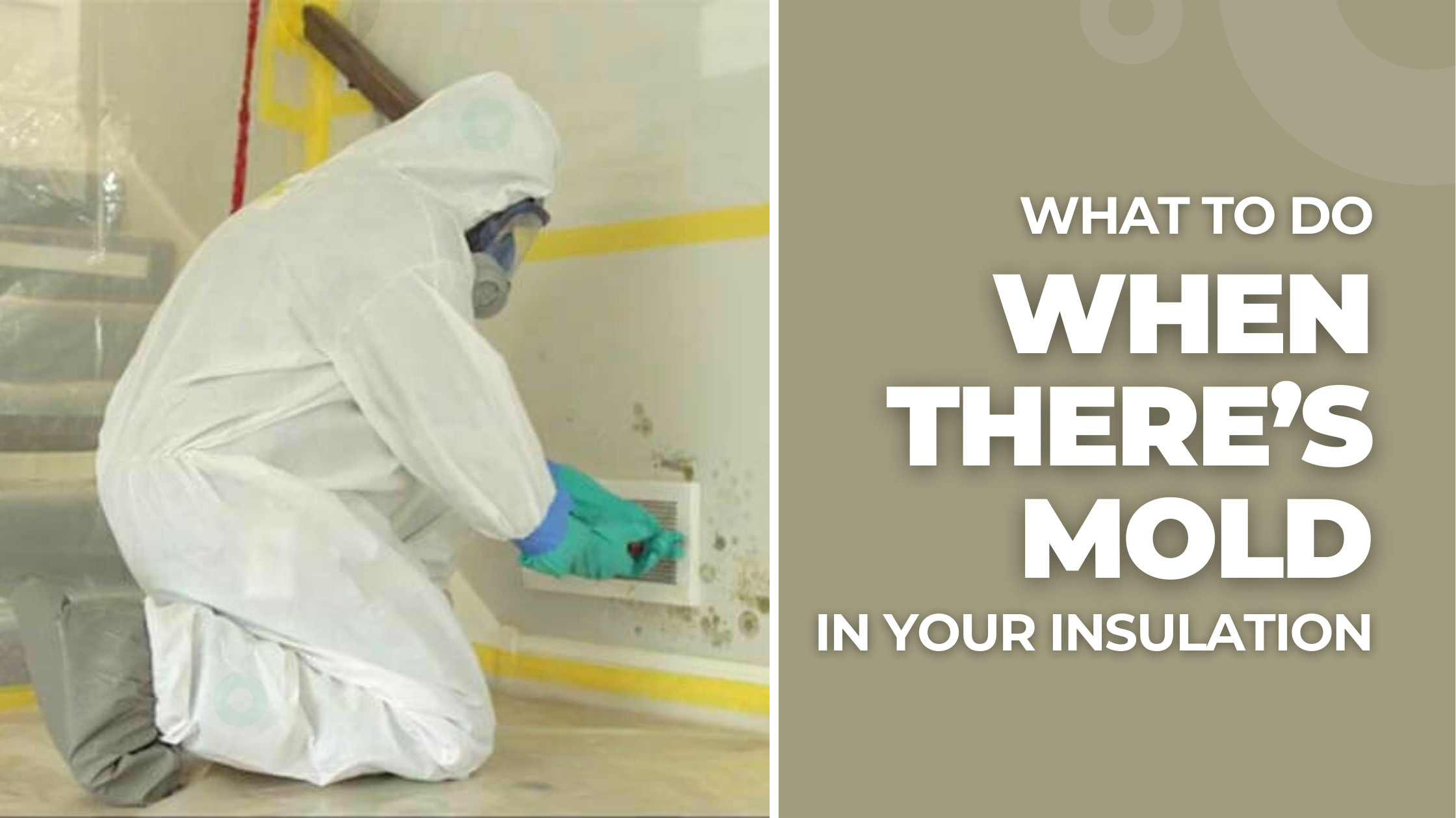What To Do When There’s Mold In Your Insulation? IAQ Strategies Inc.